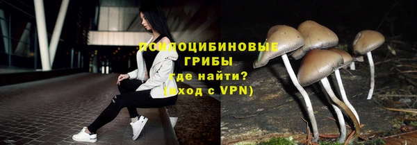 дмт Надым