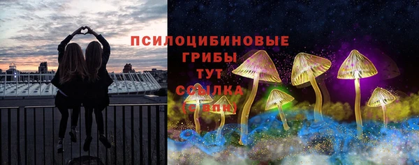 гашик Навашино