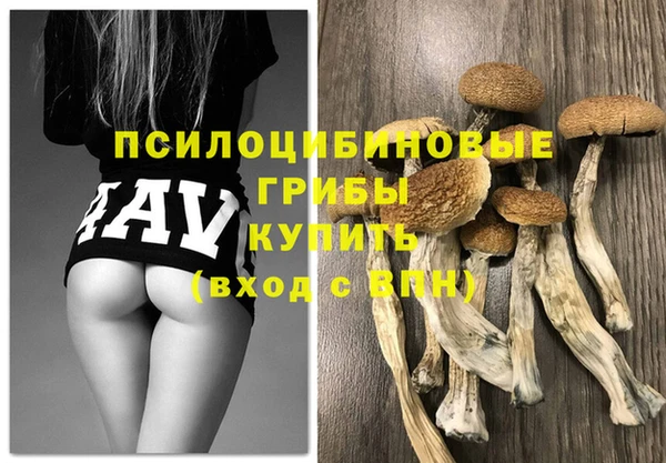 соль ск Долгопрудный