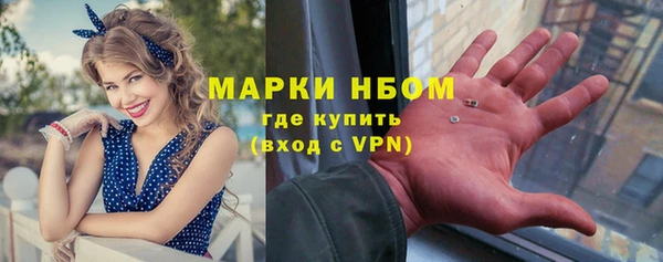 дмт Надым