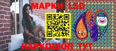 дмт Аргун