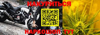 дмт Аргун