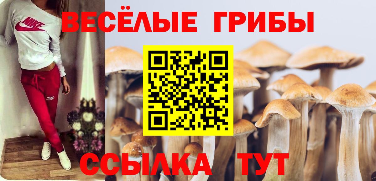 Псилоцибиновые грибы MAGIC MUSHROOMS Владимир