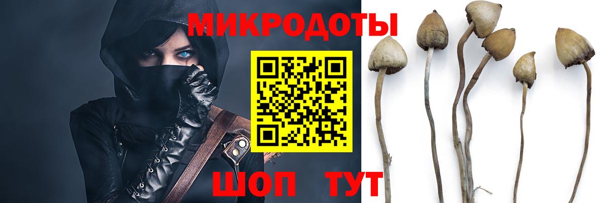 Владимир  Галлюциногенные грибы GOLDEN TEACHER  Псилоцибиновые грибы прущие грибы  Вход с VPN 