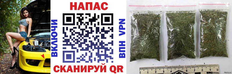 купить наркоту  Владимир  блэк спрут онион  shop как зайти  МАРИХУАНА SATIVA & INDICA 